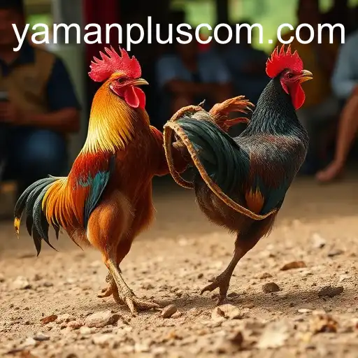 YAMANPLUS: Revolutionizing the World of Online Sabong